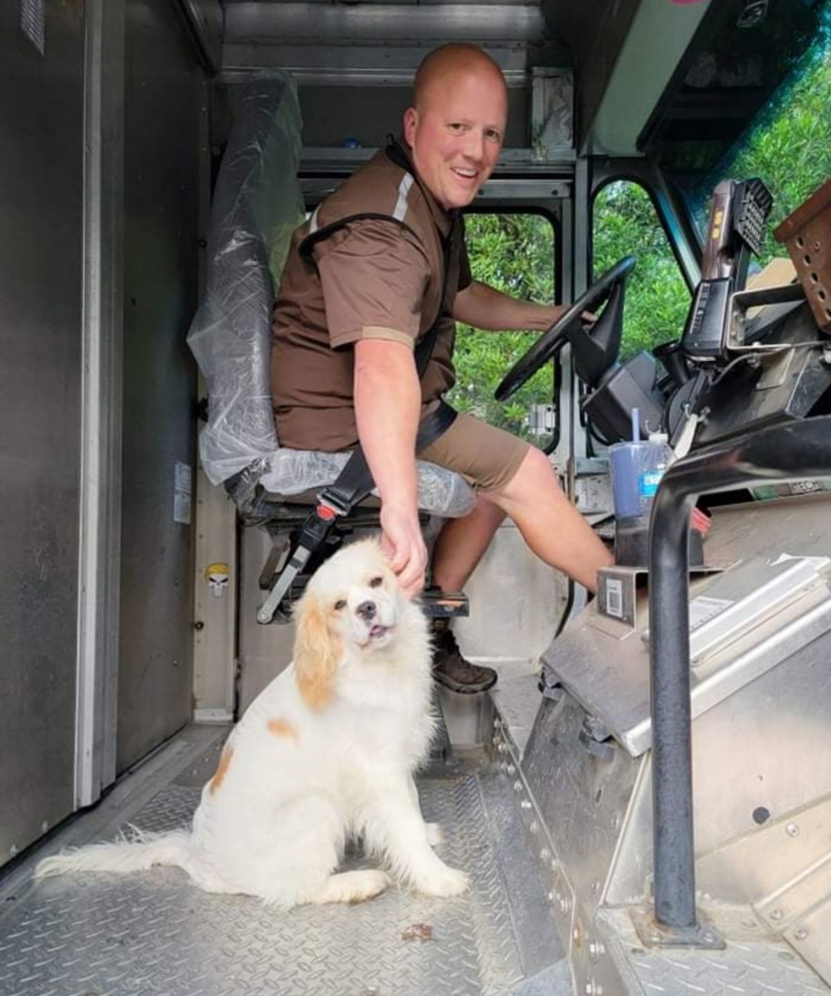male ups driver in the truck with a white and brown fluffy dog