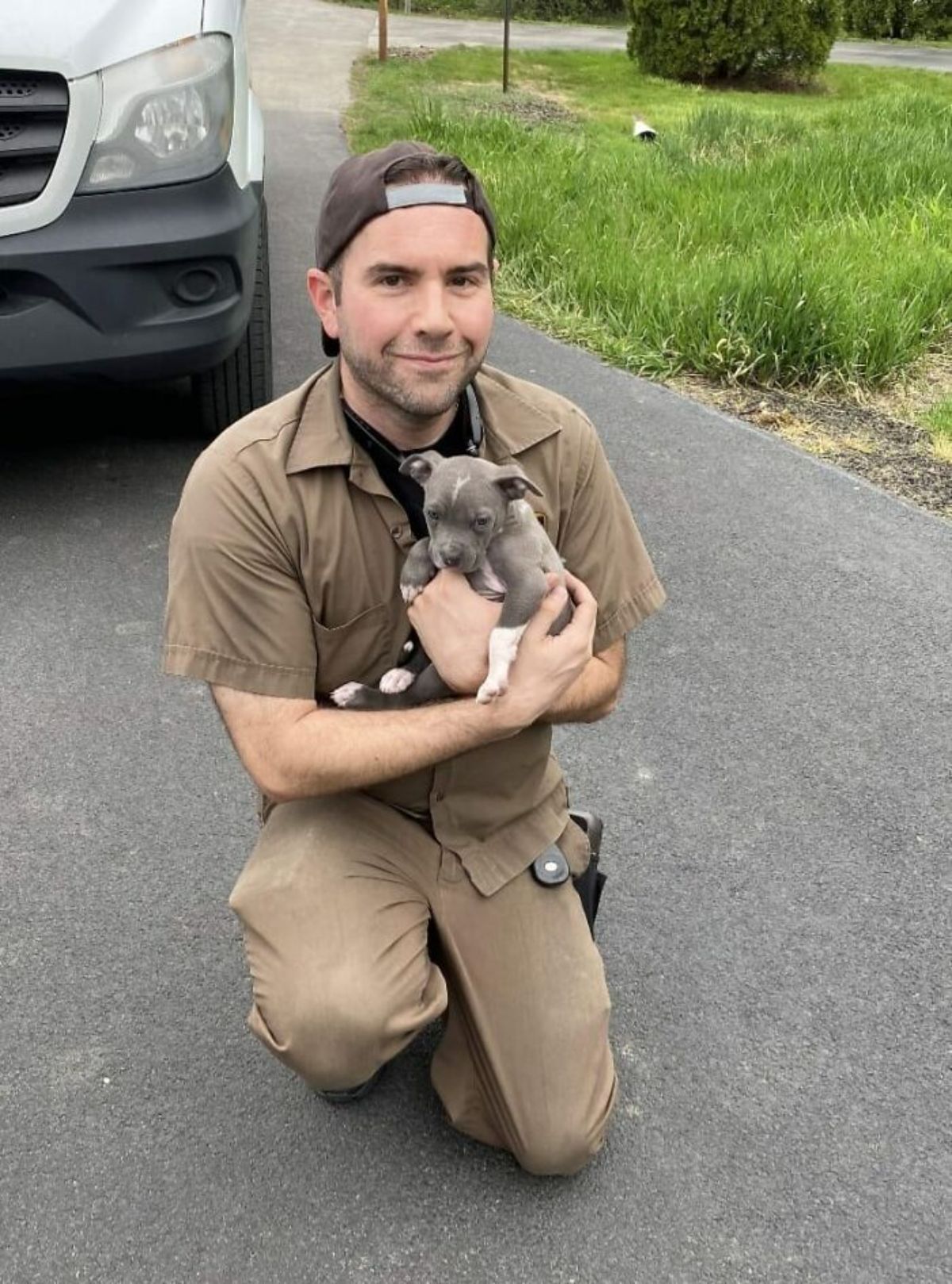 male ups driver kneeling on the road holding a grey and white pitbull puppy