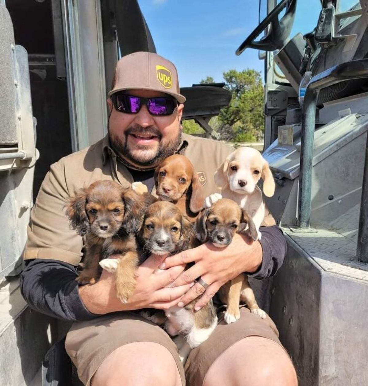 male ups driver sitting with 5 brown puppies on his lap