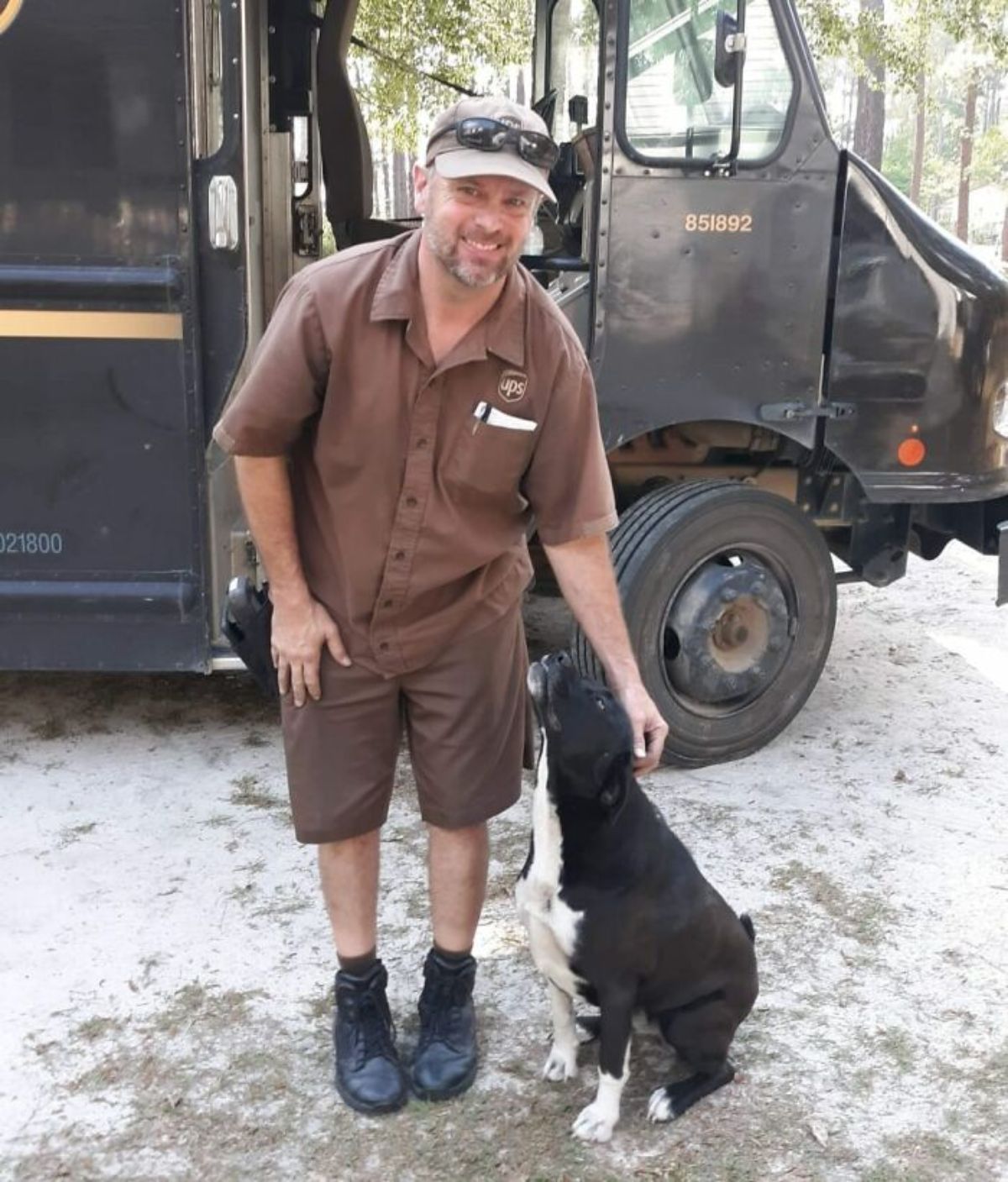 male ups driver petting a black and white dog