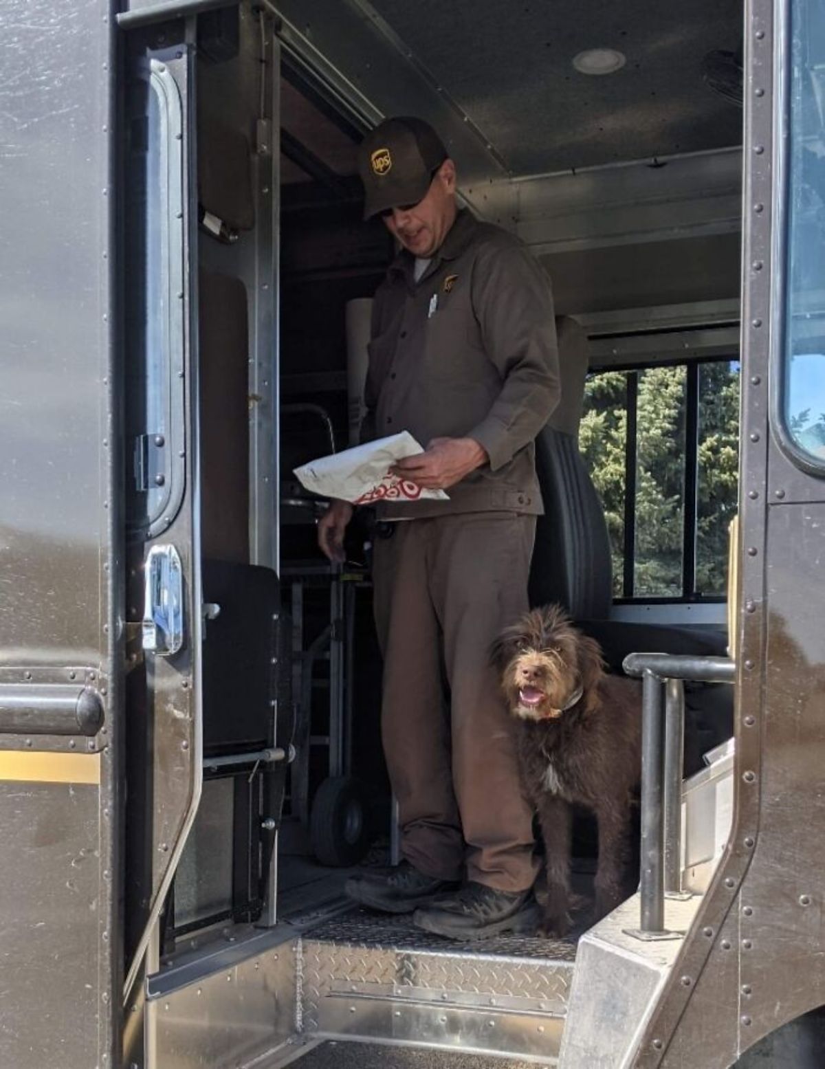 male ups driver in the truck with a fluffy brown dog