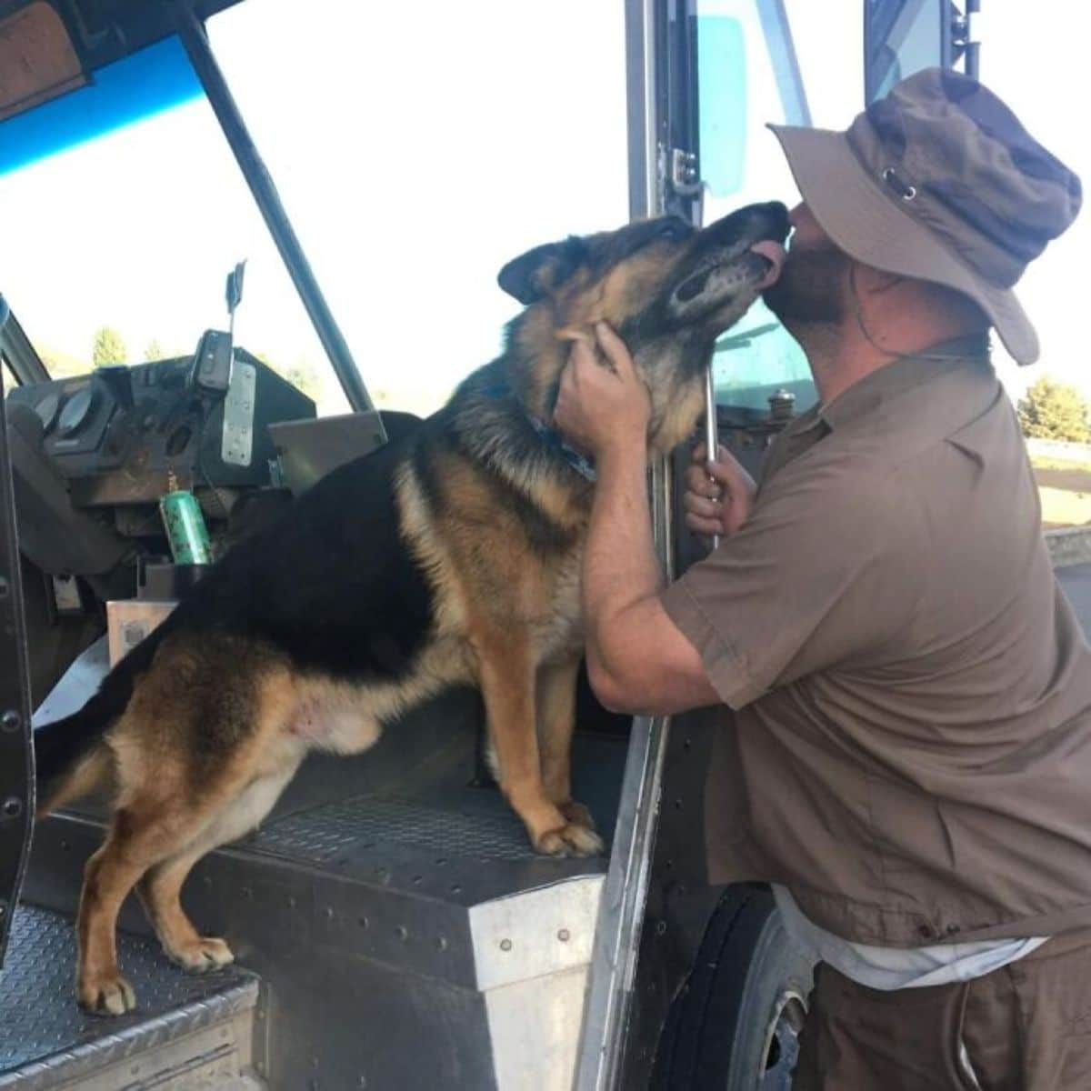 male ups driver getting licked by a german shepherd in the truck