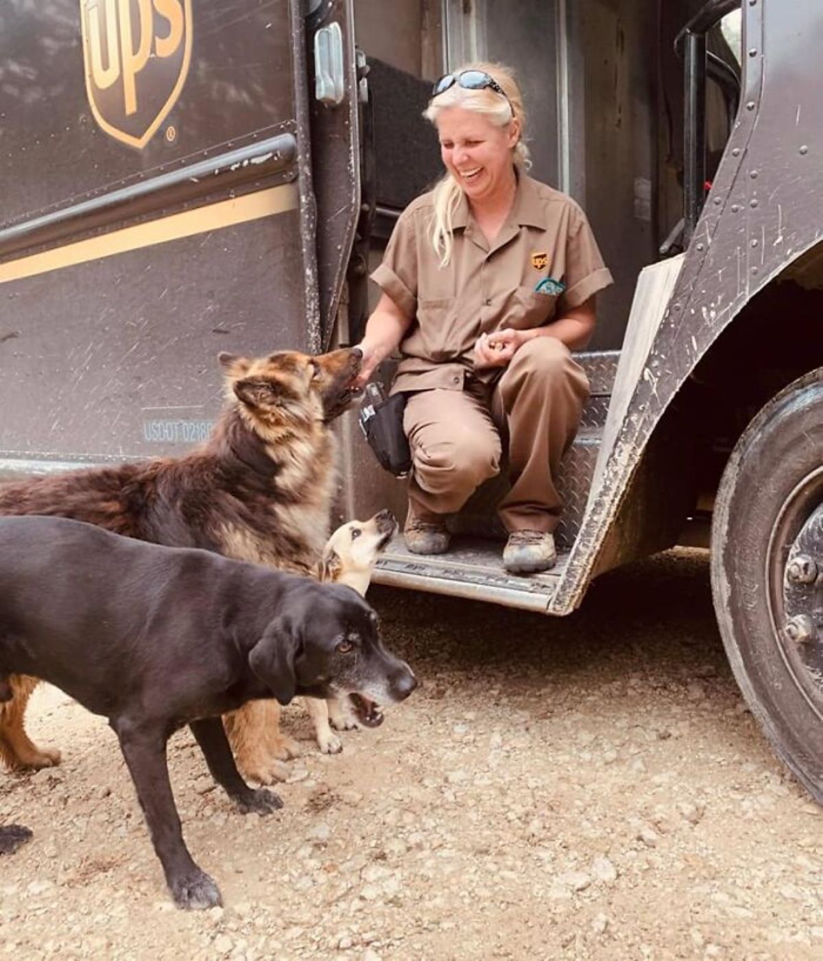 female ups driver giving treats to a brown fluffy dog, a small brown dog and a black dog