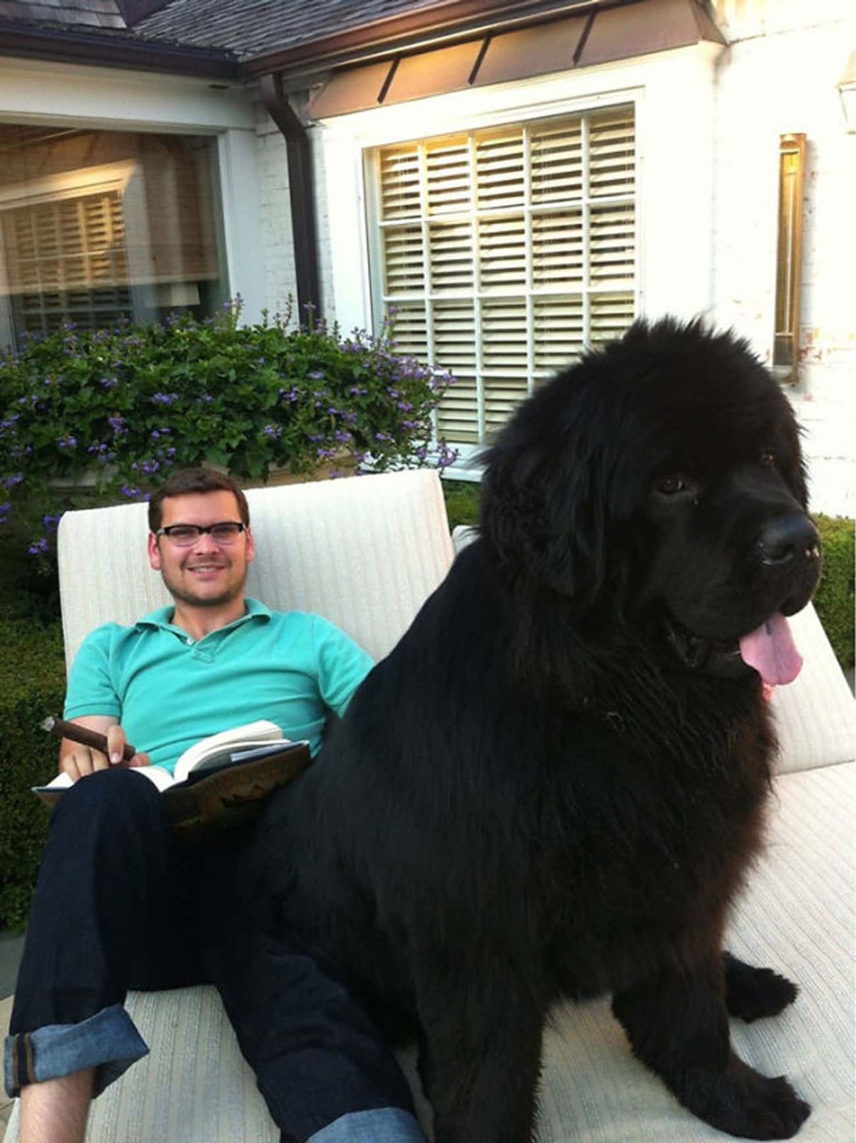 black newfoundland sitting on a recliner by a man reading a book