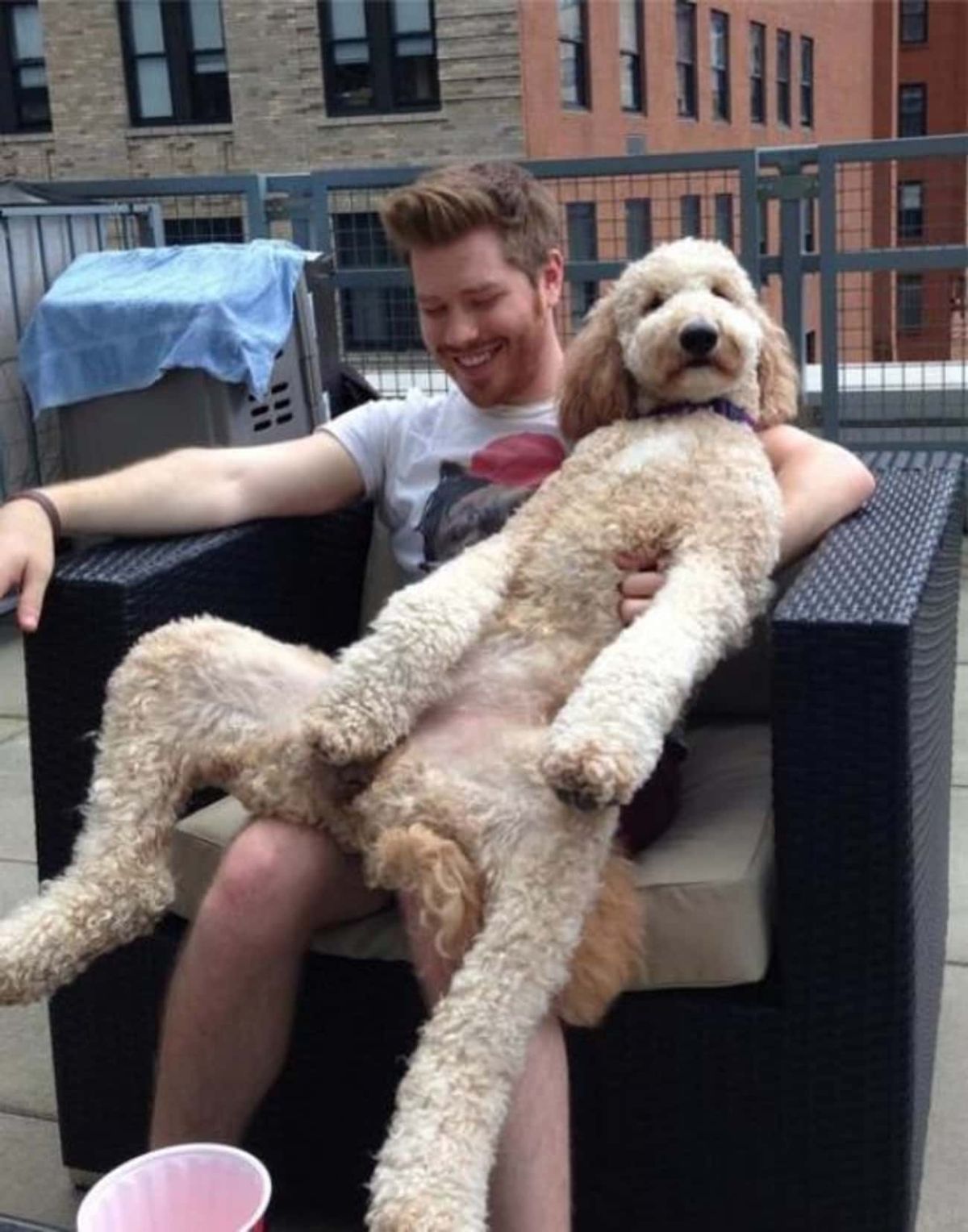 white fluffy dog sitting belly up on a man sitting on a couch