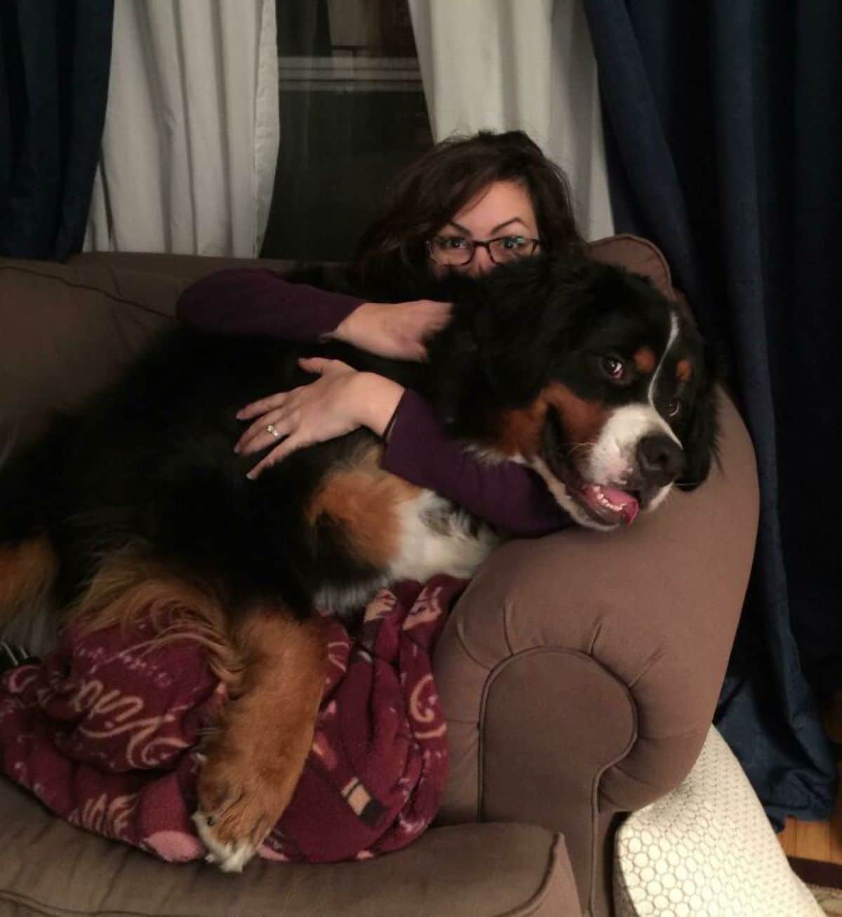 bernese mountain dog getting hugged by a woman sitting on a brown couch