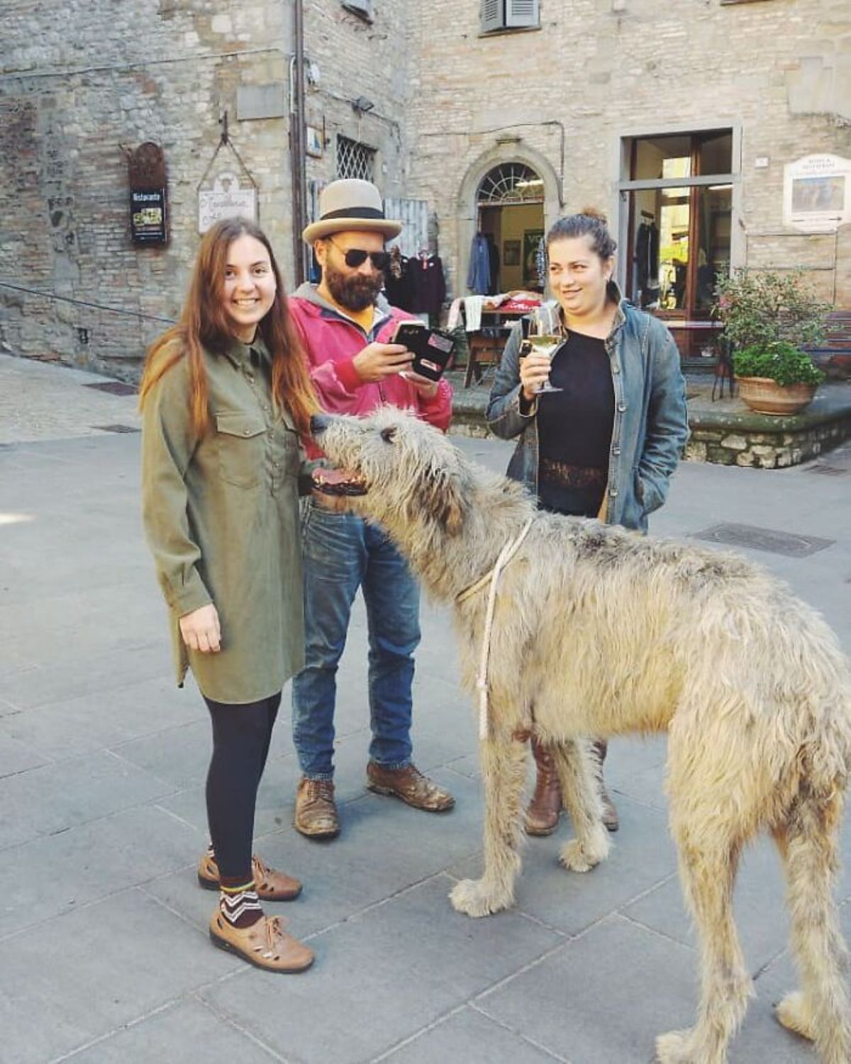 white and grey irish wolfhound standing with 2 women and a man