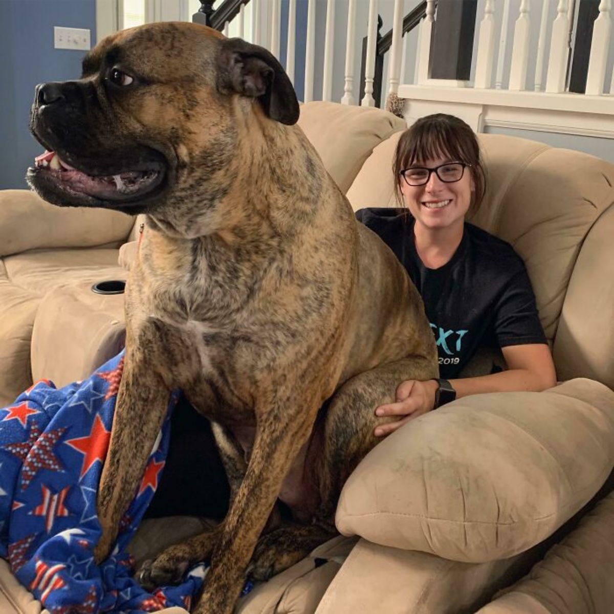 large black and brown dog sitting on a woman's lap