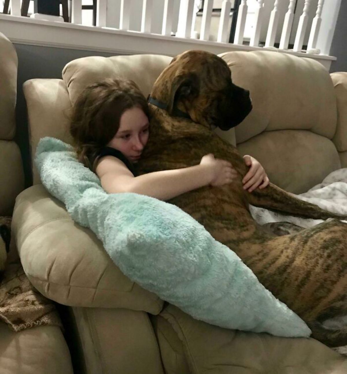 black and brown dog laying on a girl sitting on a brown couch and getting hugged