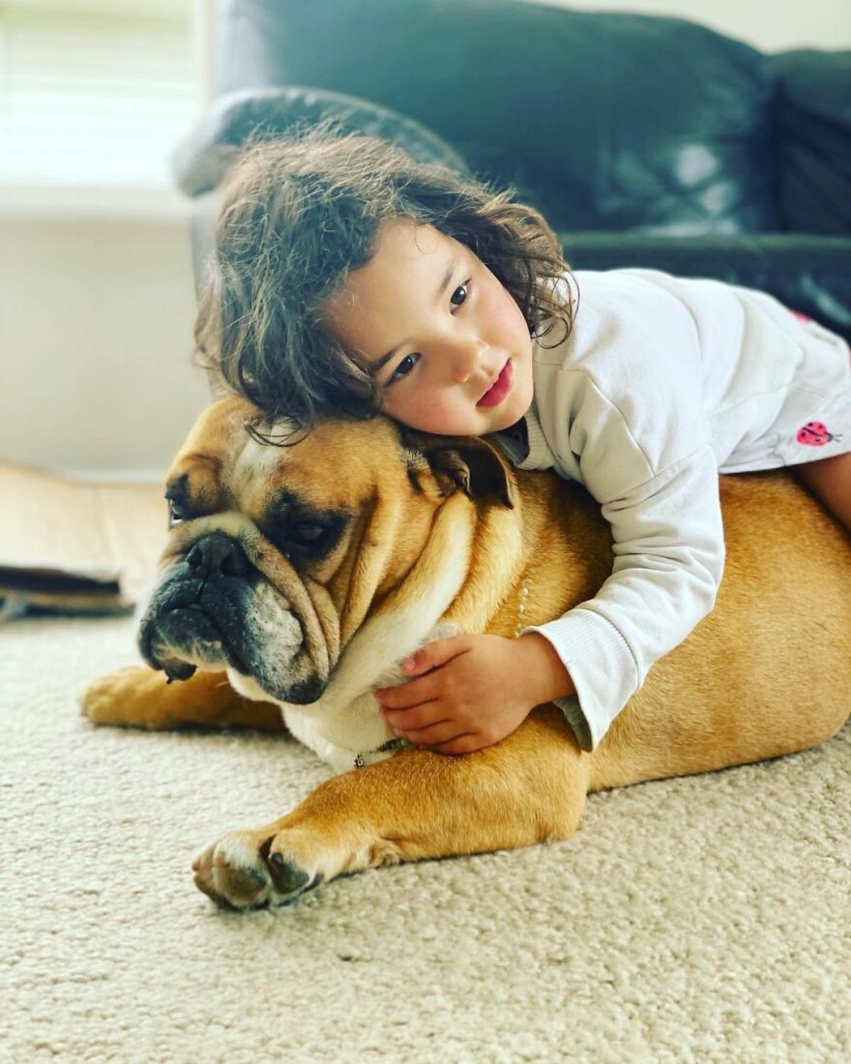 little girl hugging a brown and white bulldog