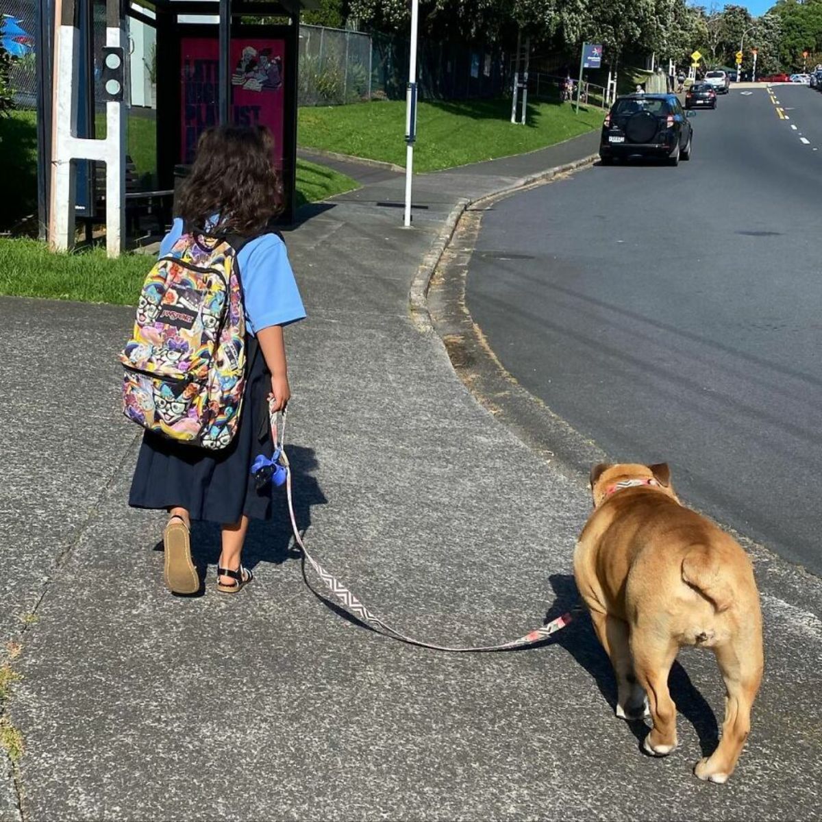 girl in a uniform and a backpack holding the leash of a brown and white bulldog on the road