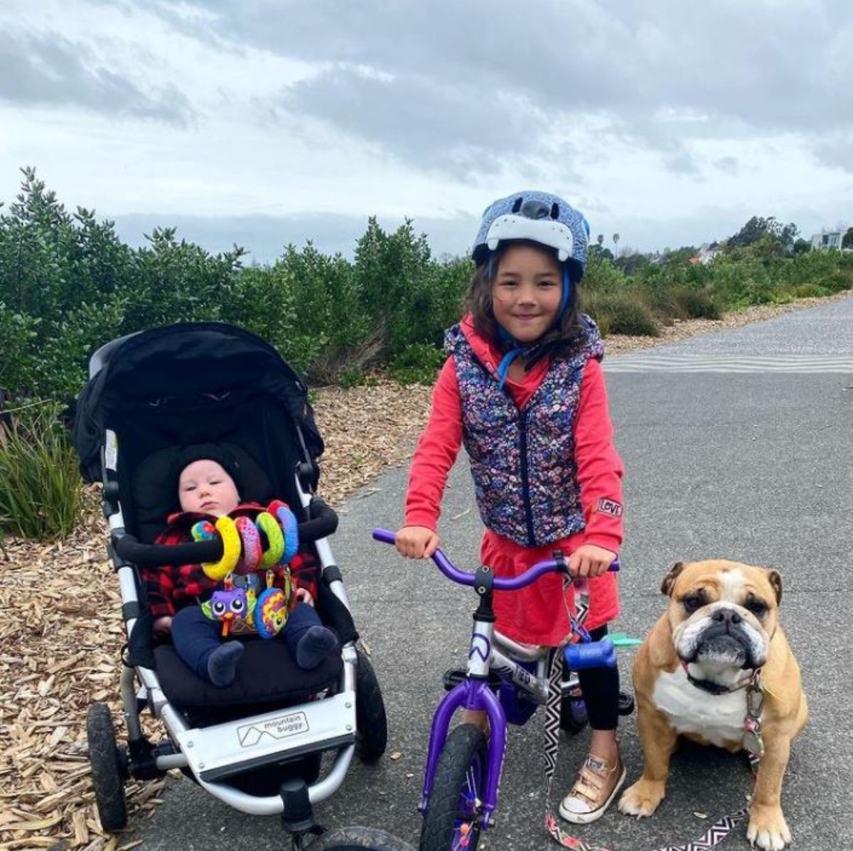 little girl on a bike with a baby in a black stroller and a brown and white bulldog sitting on the road