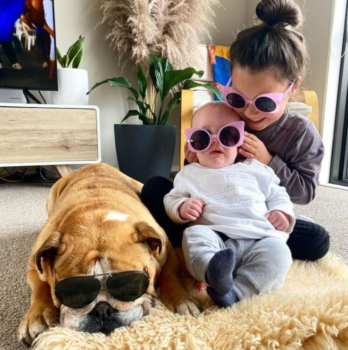 little girl holding a baby sitting next to a brown and white bulldog with everyone sunglasses