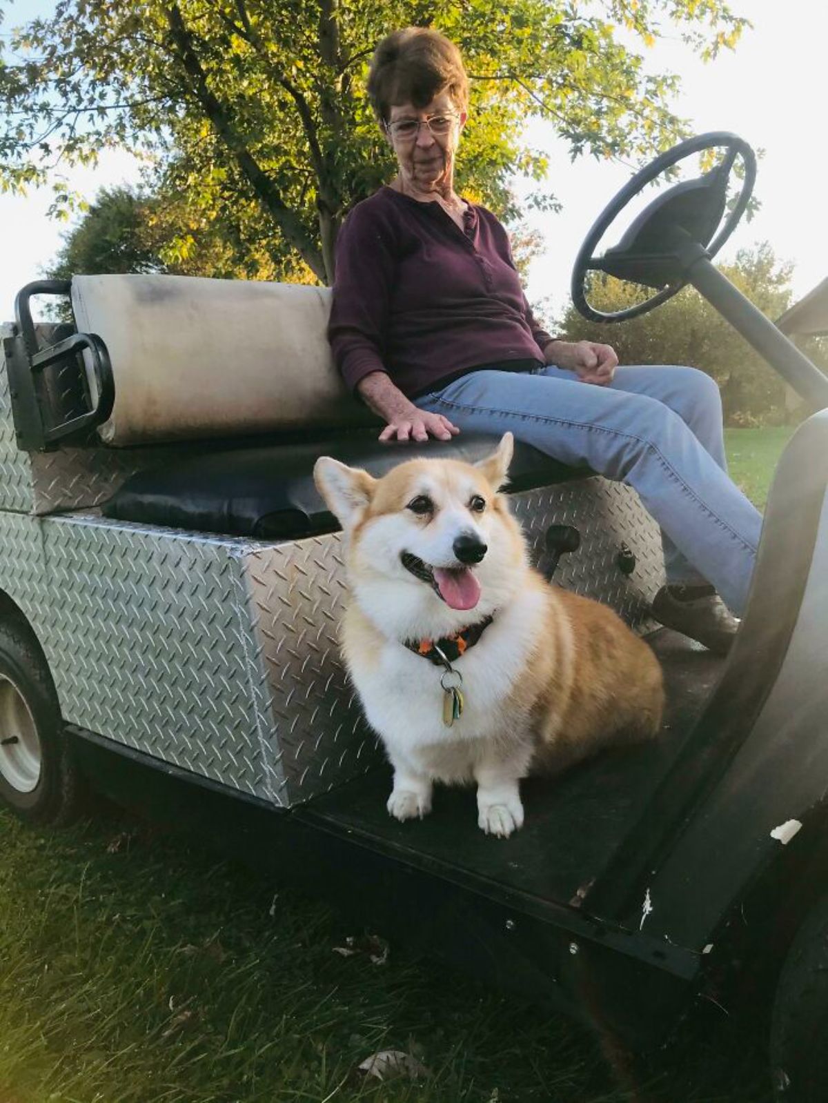 brown and white corgi sitting on the floor of a utility cart next to an old woman
