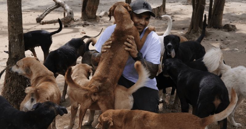 Man saves 300 shelter dogs 5