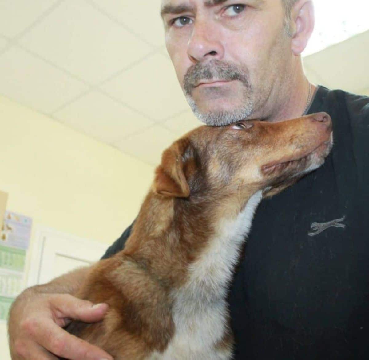 brown and white dog with a man who is hugging him