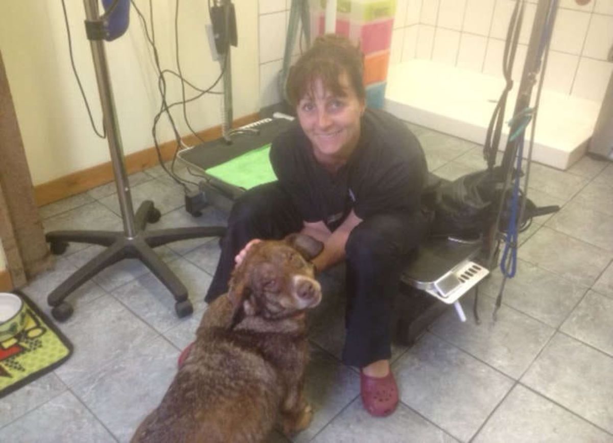 brown dog sitting on the floor with a woman near equipment