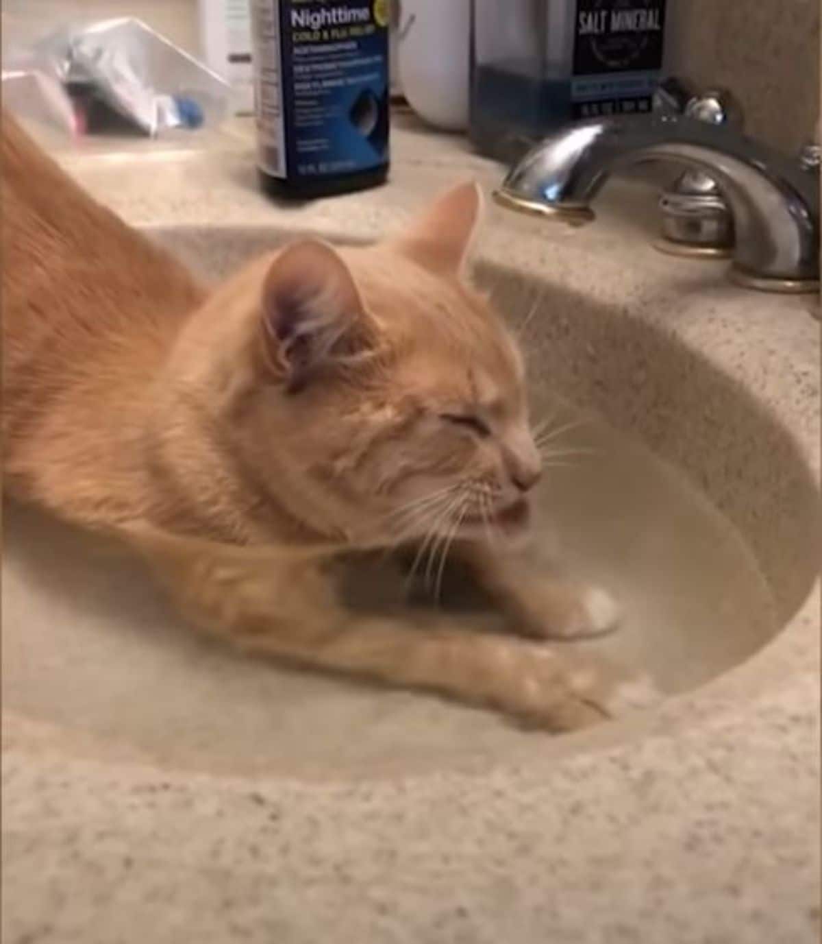 orange cat sitting half in a washbasin filled with water and drinking from it