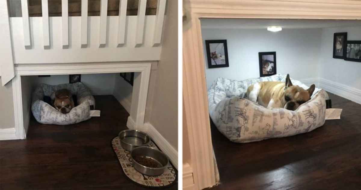 2 photos of a small brown dog with its own bedroom sleeping on a dog bed