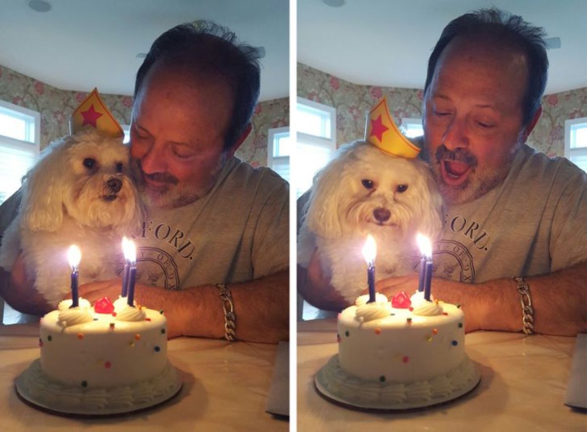 2 photos of a man and a small white dog with a birthdya hat sitting in front of a birthday cake with two lit candles