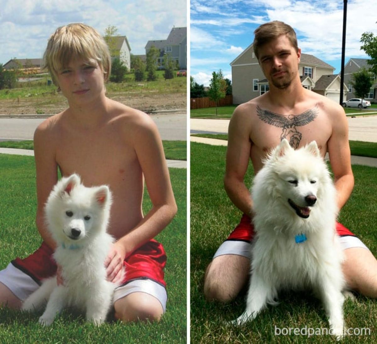 samoyed with a boy and a man