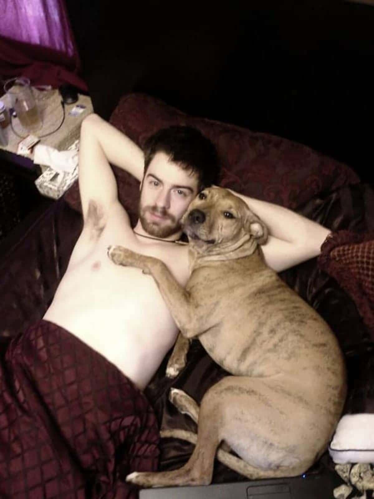 brown dog laying on a man on a red bed