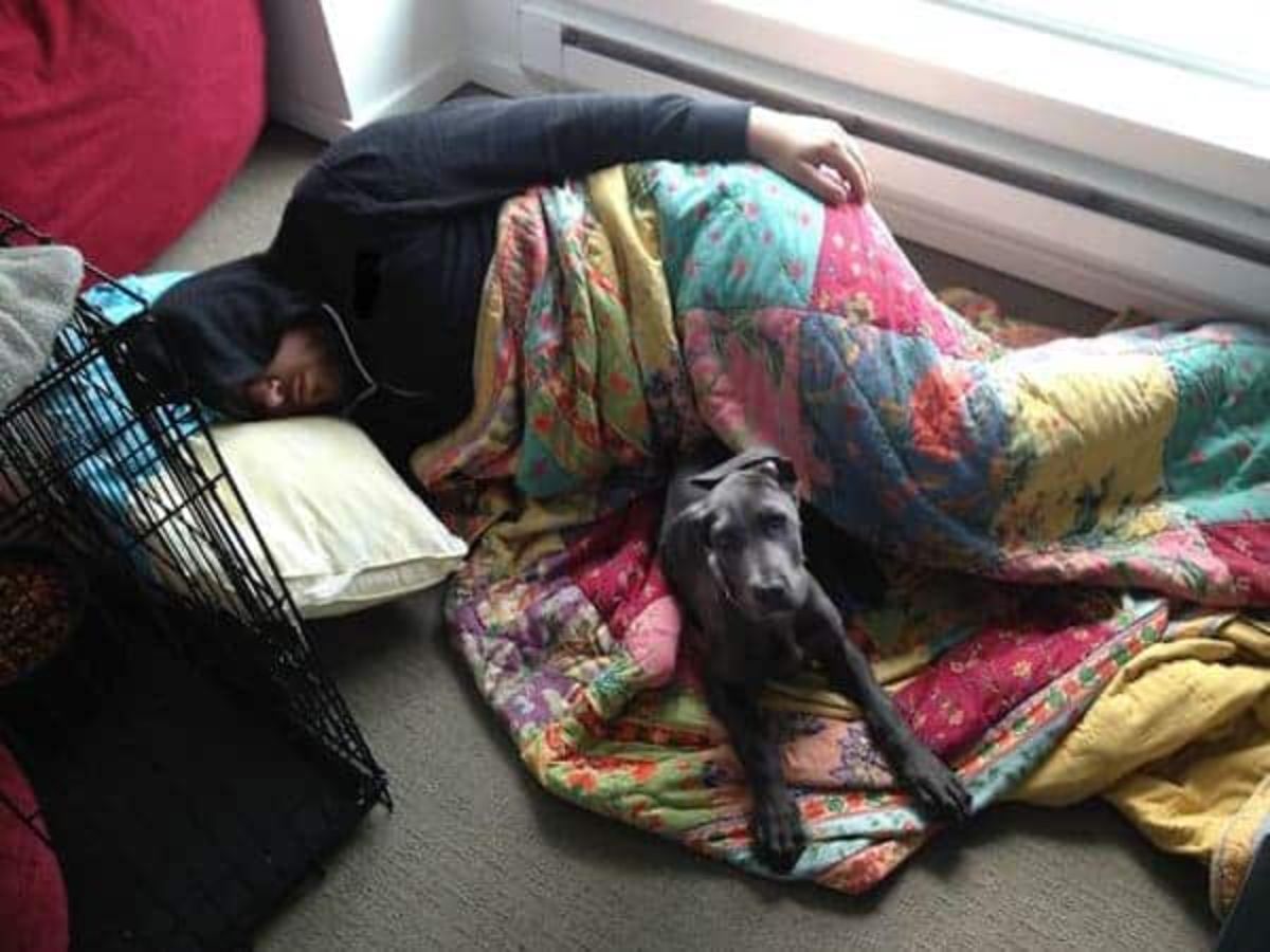 grey black dog laying on a colourful blanket next to a man sleeping on the floor