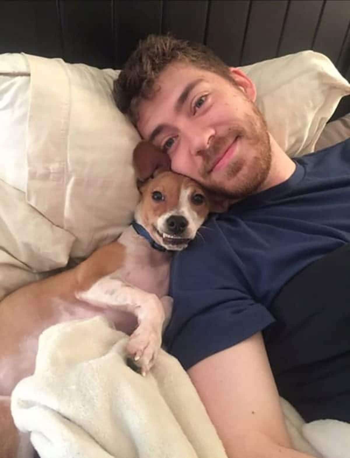 brown and white dog cuddled in bed with a man
