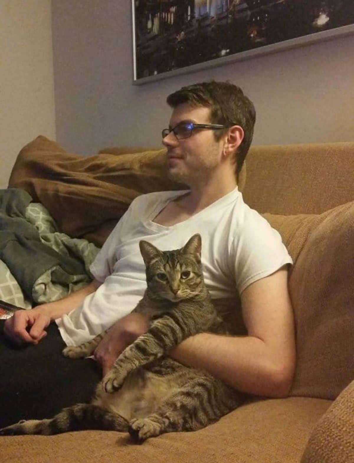 grey tabby cat sitting being held by a man on a brown sofa