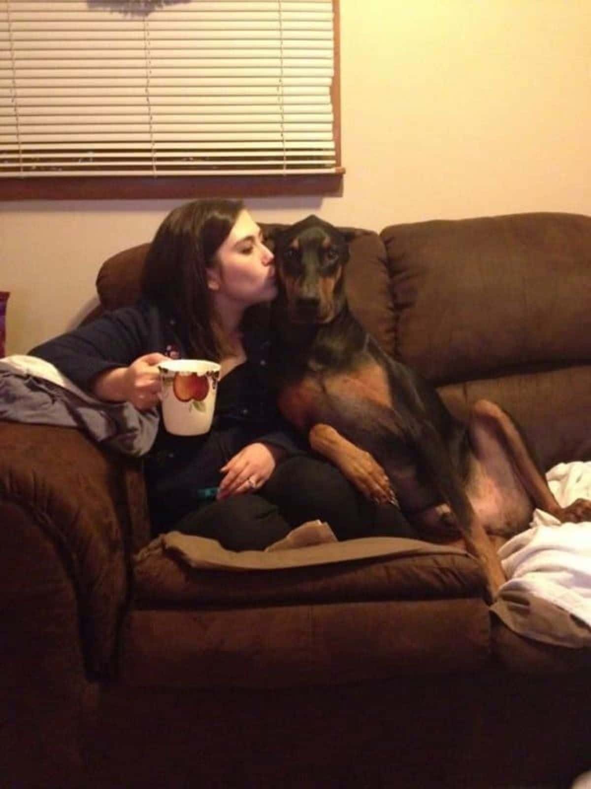 black and brown dog sitting upright on a brown sofa laying against and being kissed by a woman holding a white mug