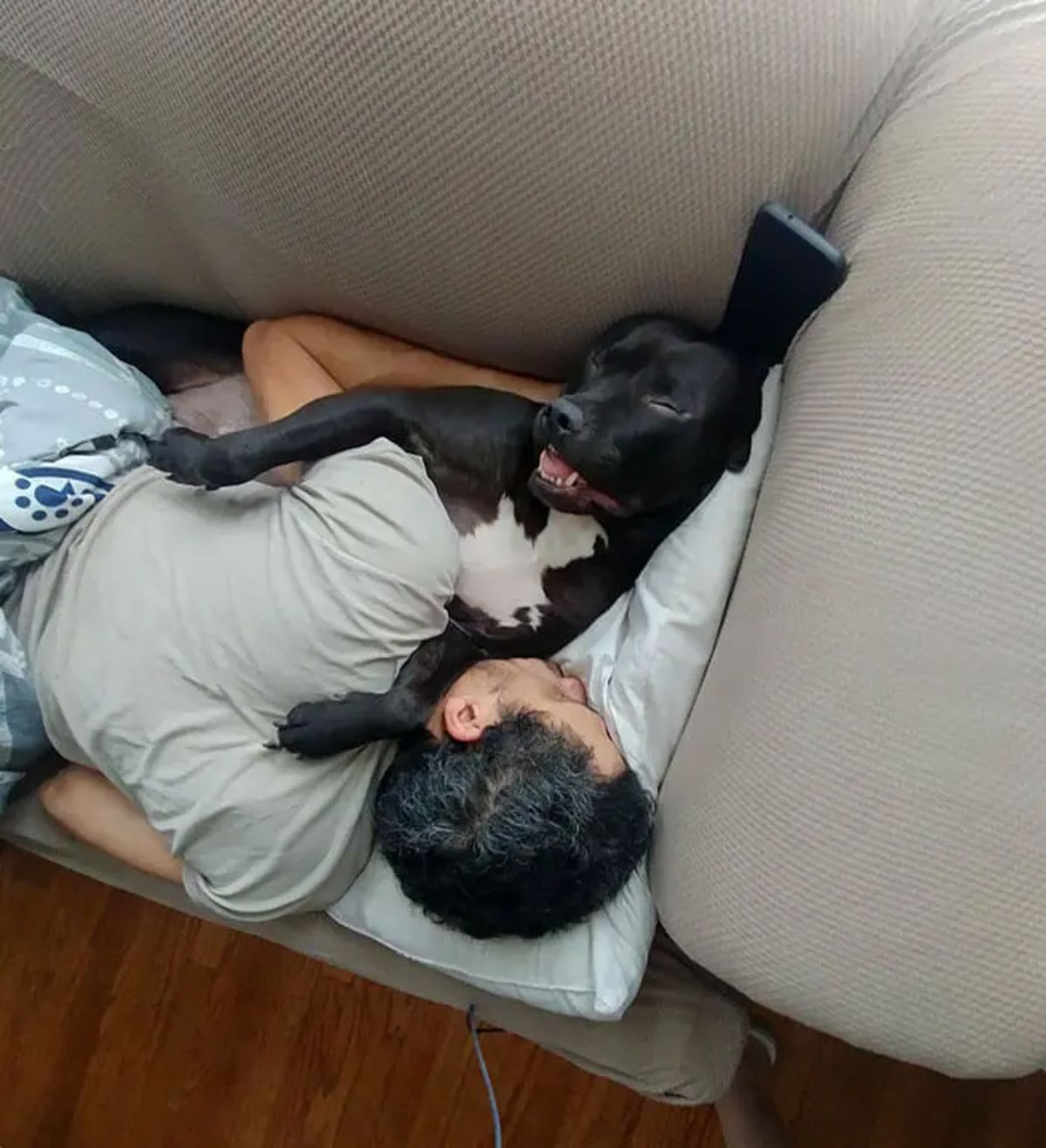 black and white dog sleeping cuddled up with a man on a grey sofa