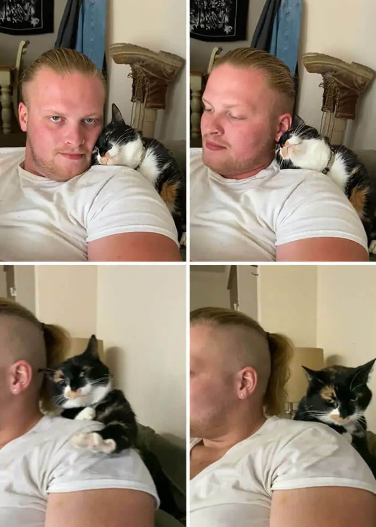 4 photos of a black white and orange cat laying its head on a man's shoulder