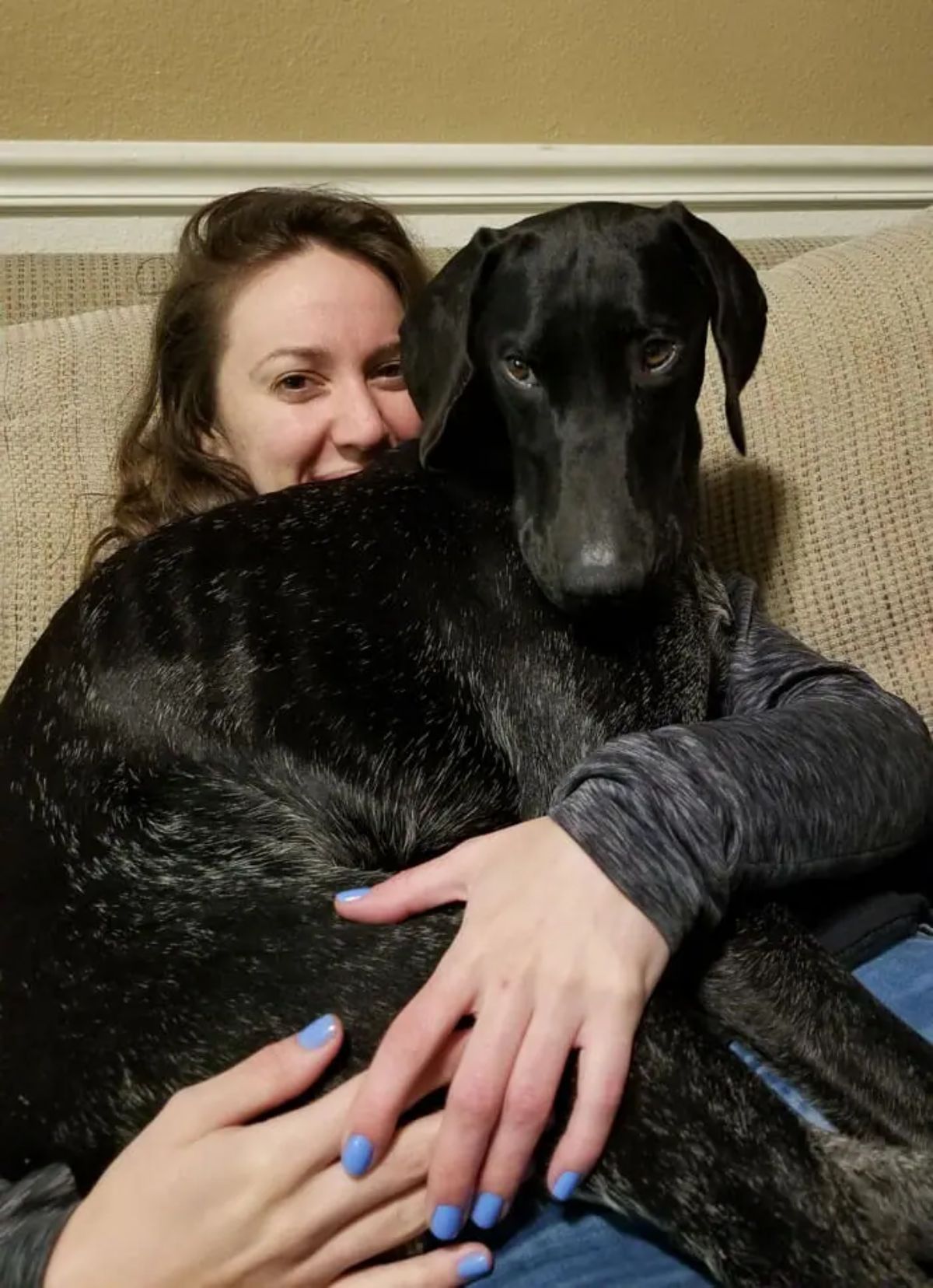 black dog sitting on a woman's lap