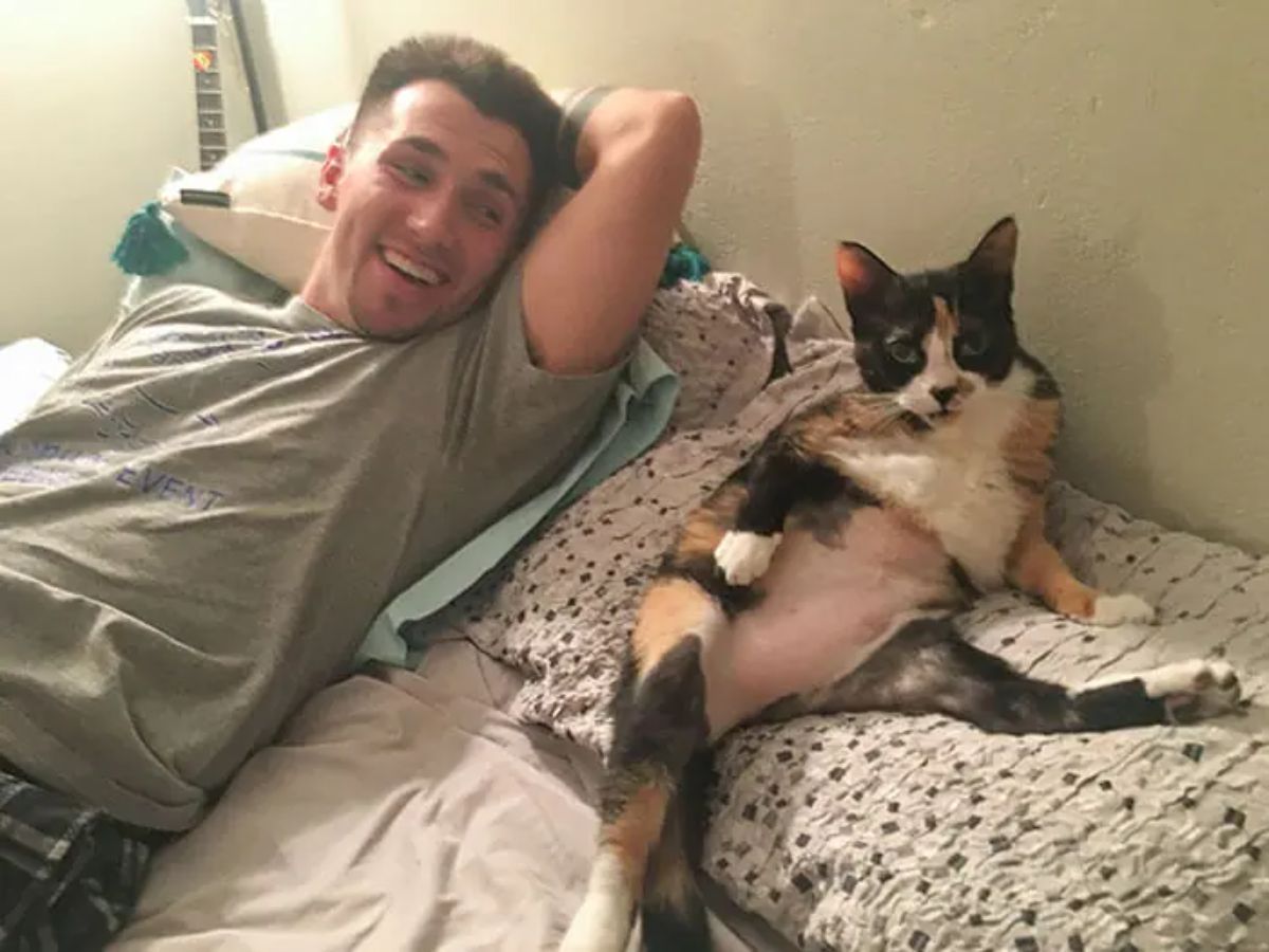 black orange and white cat laying on a pillow next to a man on a bed