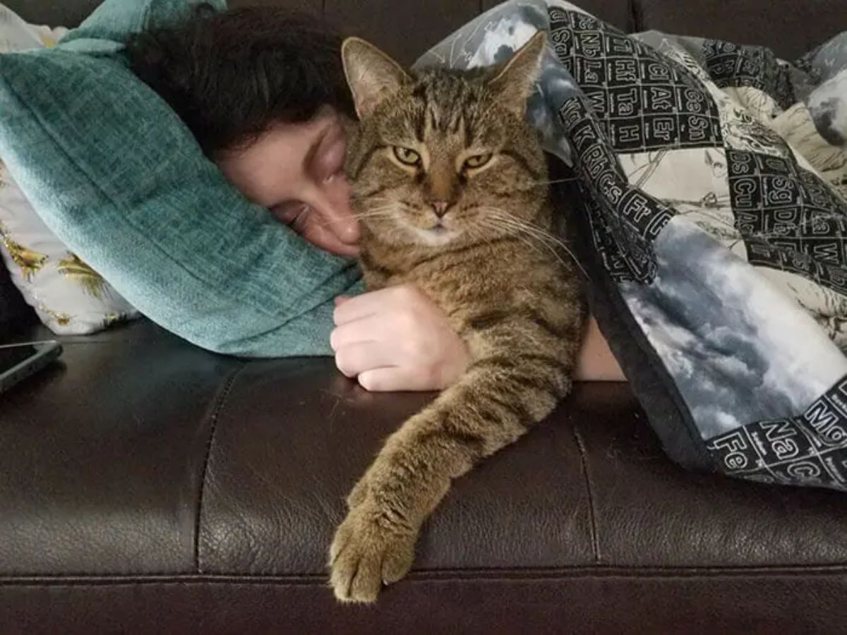 brown tabby cat cuddled up on a brown sofa with a sleeping woman