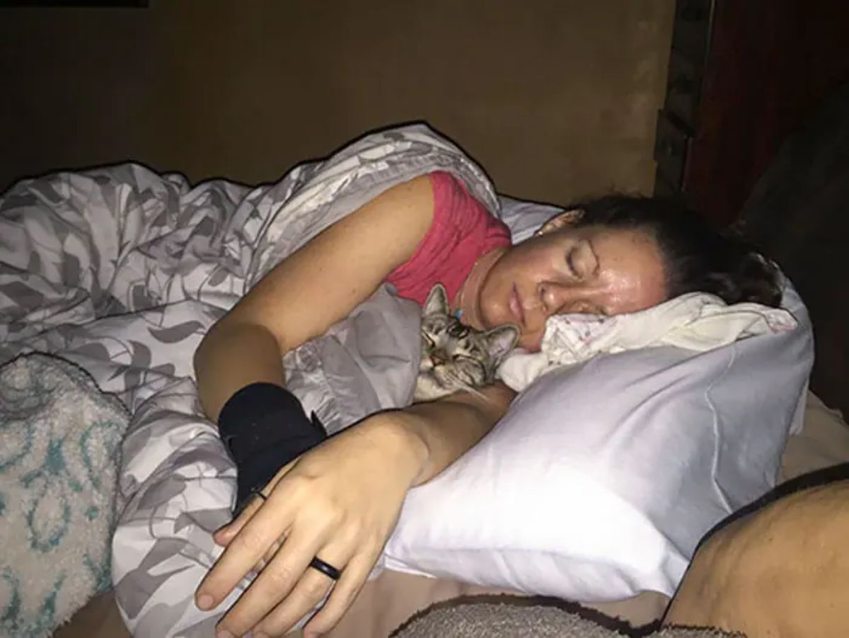 grey tabby cat sleeping cuddled up under a blanket with a woman