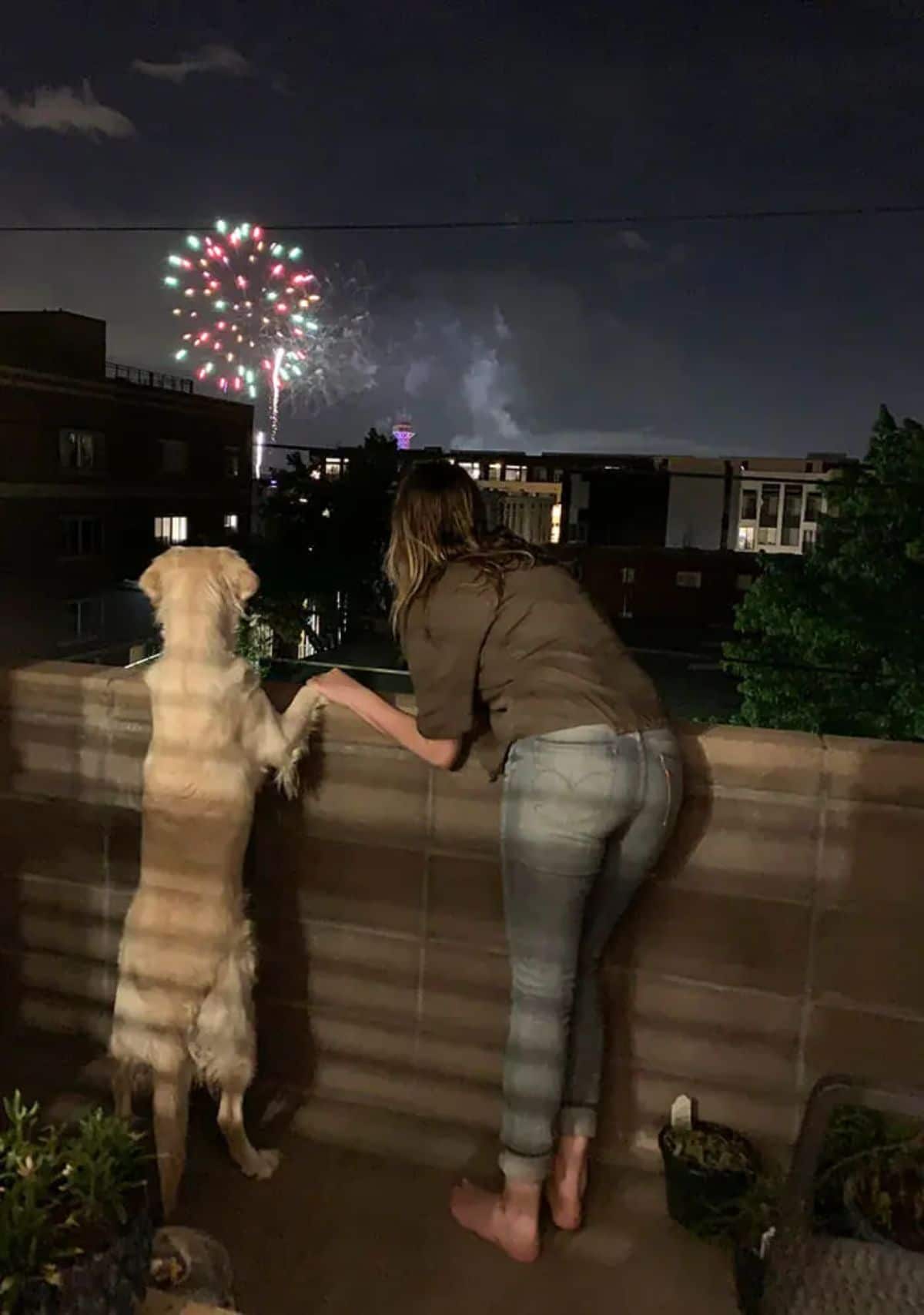 golden retriever and woman holding hands on a balcony and watching fireworks