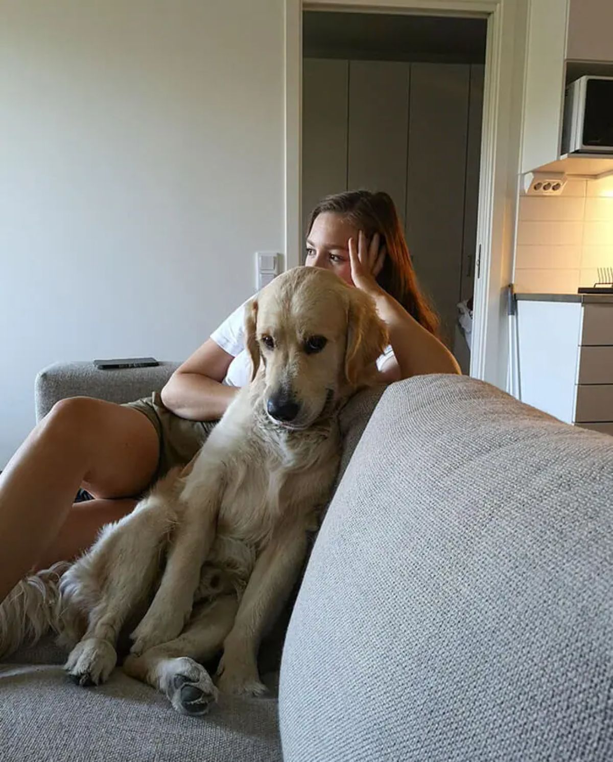 golden retriever seated on a grey sofa leaning against a woman looking smugly at the camera