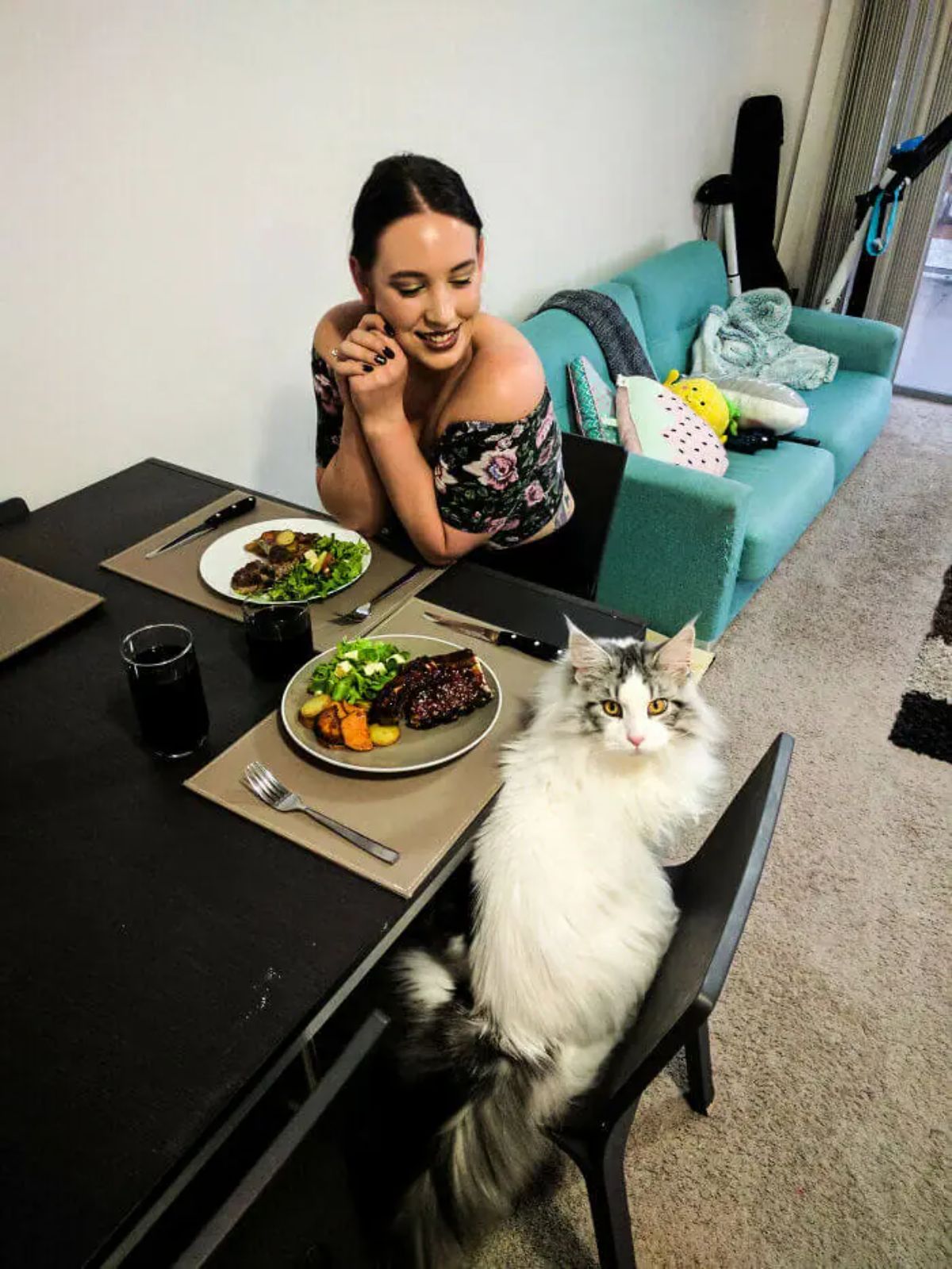 grey and white fluffy cat sitting on a chair at a dining table in front of food next to a woman