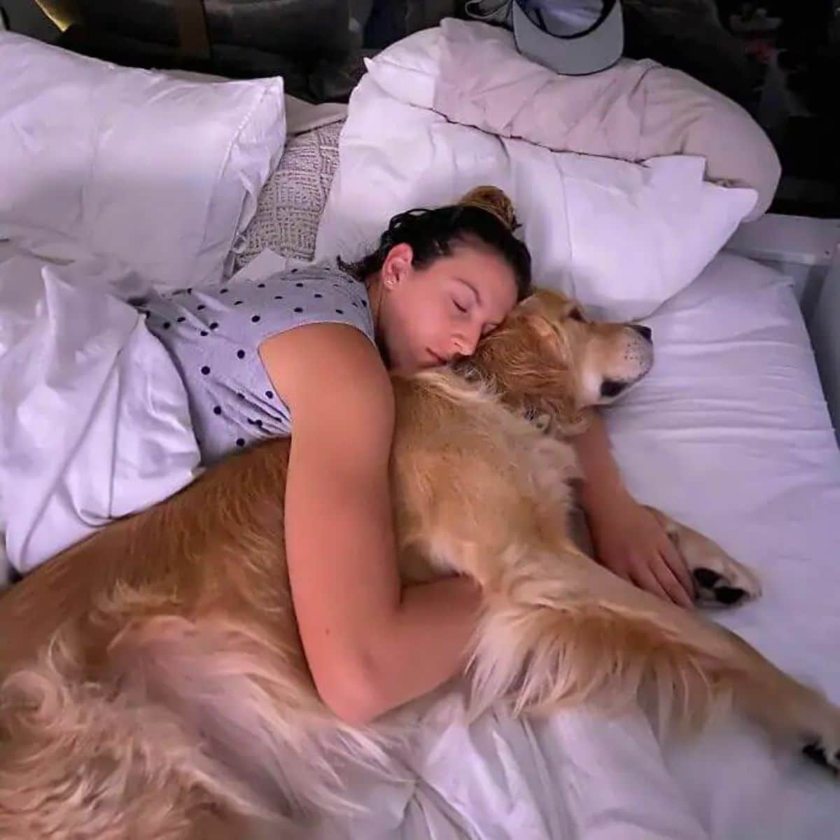 golden retriever laying on a white bed getting hugged by a sleeping woman