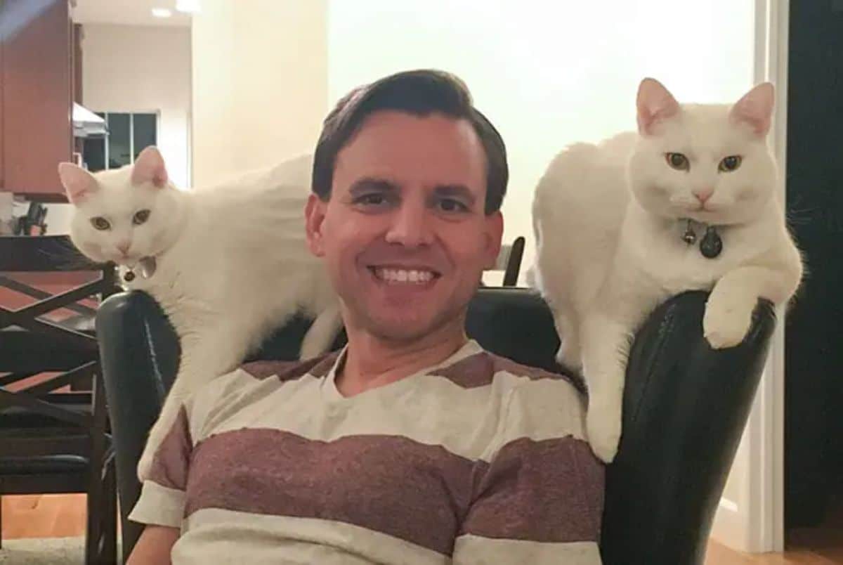2 white cats sitting on either side at the top of a black chair where a man is sitting