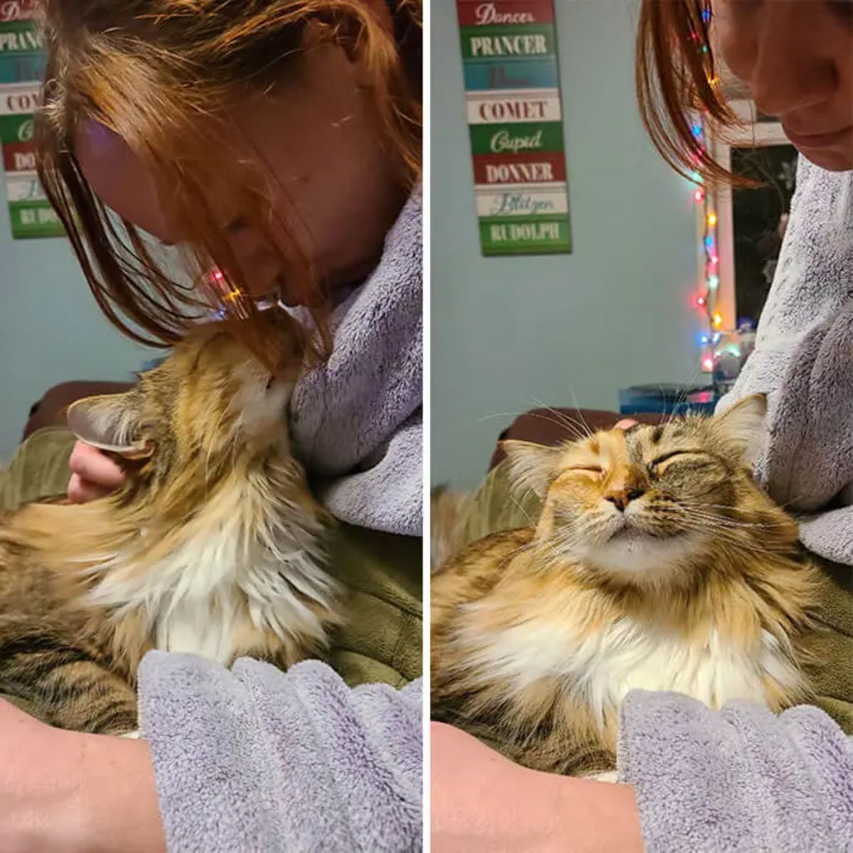 2 photos of a brown and white tabby cat cuddling with a woman