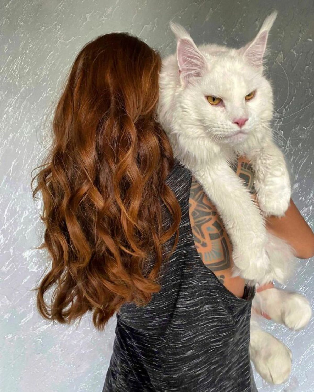 woman carrying a large white main coon cat over her back