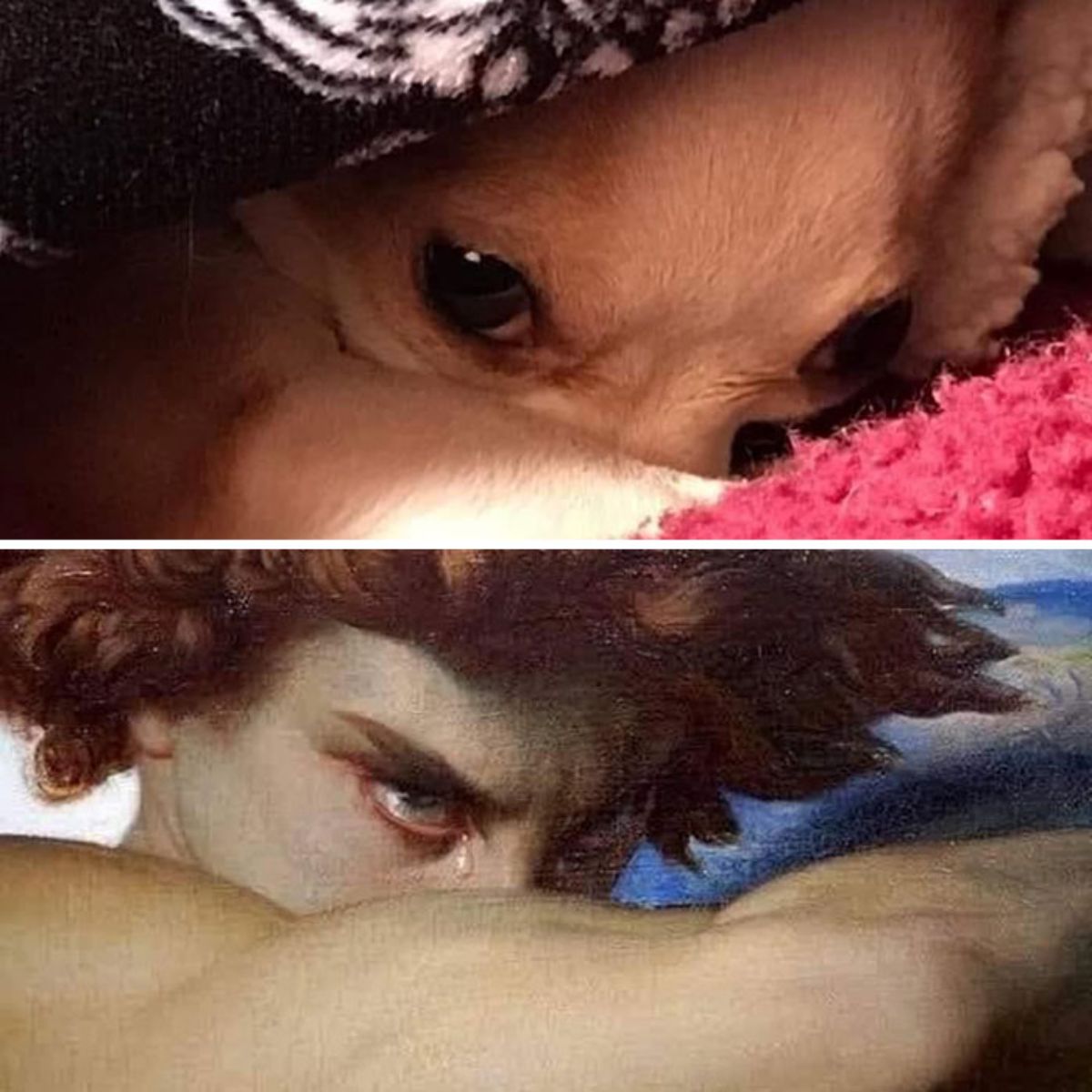 first photo of a dog's eyes under a blanket looking angry and the second photo of the eyes of someone in a classical painting