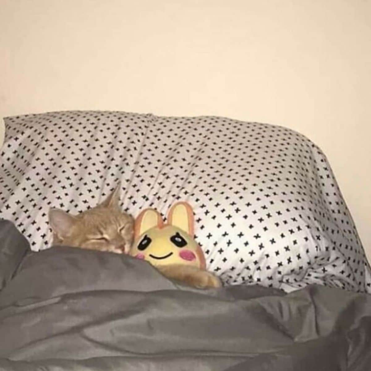 orange cat cuddling with a yellow and orange stuffed toy on a white and black pillow under a brown blanket