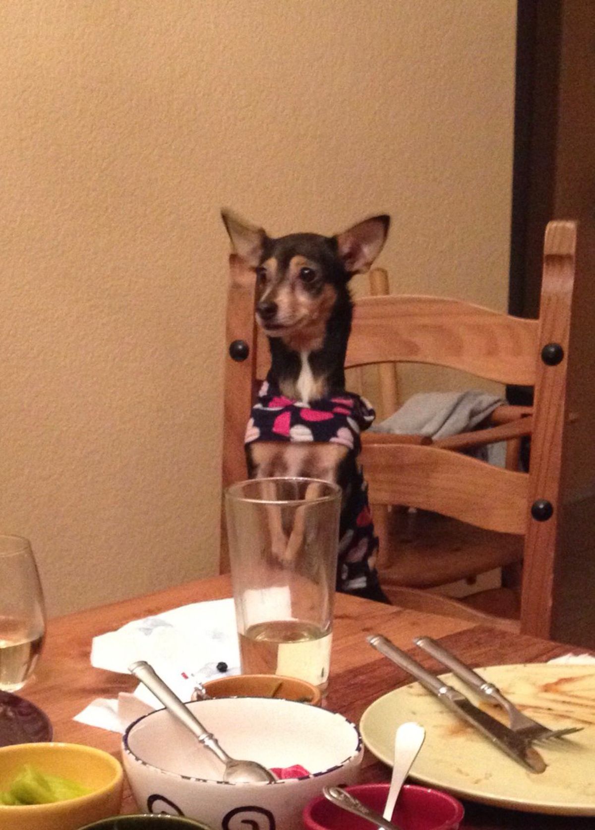 black and brown dog standing on hind legs on a wooden chair and the front legs seen through a glass on a wooden table