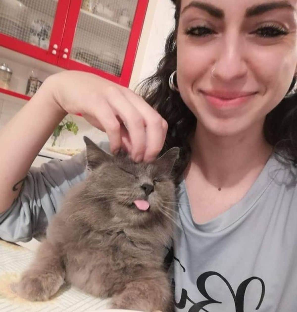 grey fluffy cat getting head scratches from a woman and the cat's tongue is sticking out