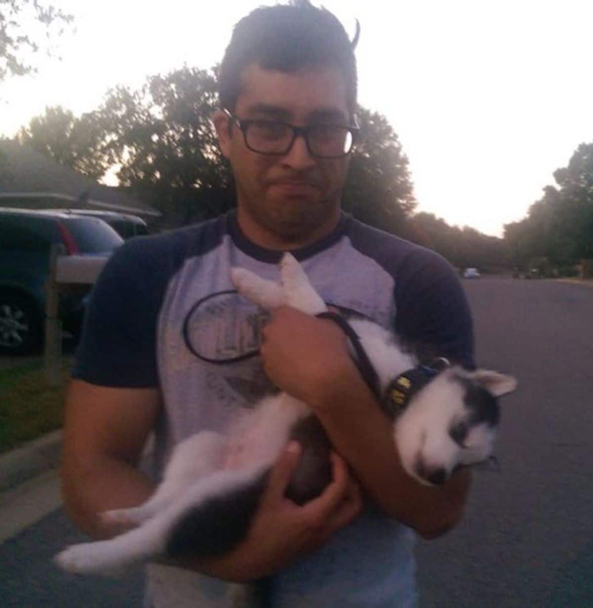 husky puppy being held by a man