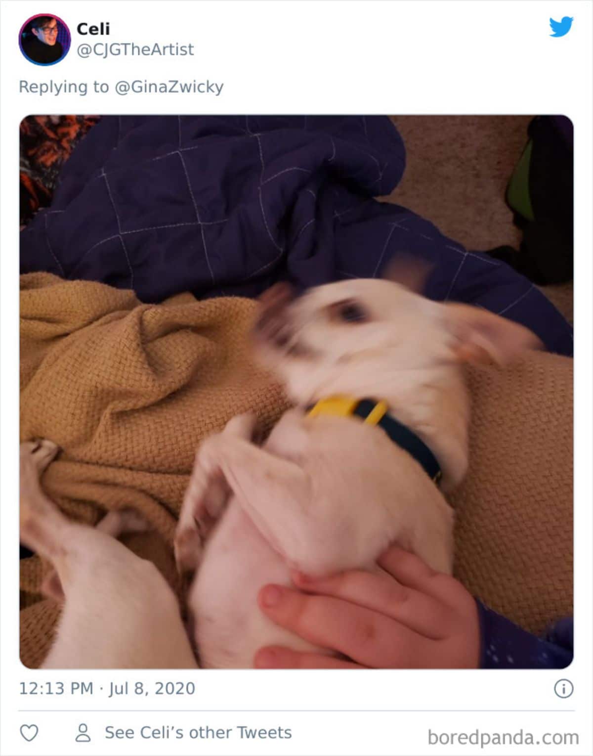 tweet of a blurry photo of a white dog laying sideways on a brown blanket