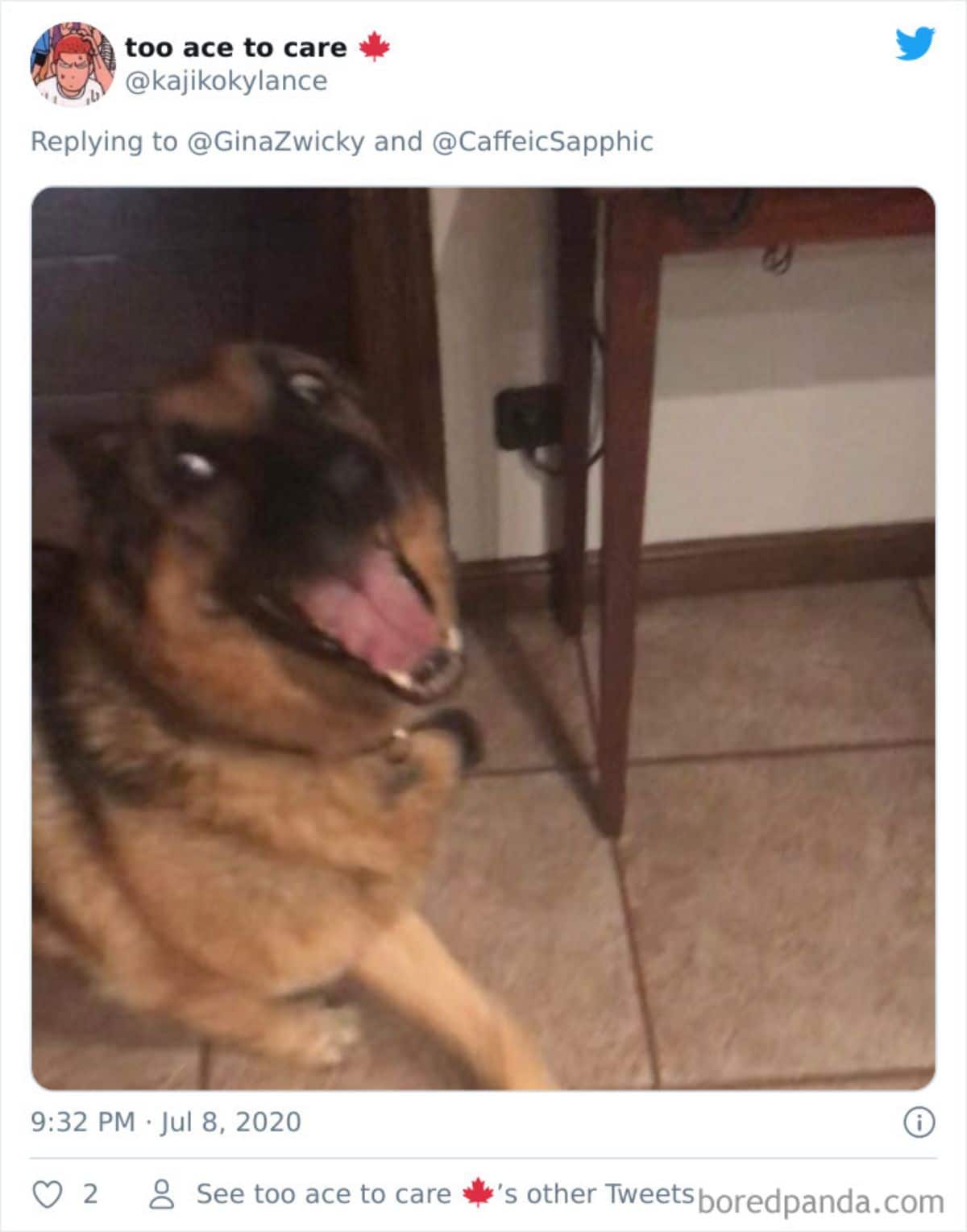 tweet of a blurry photo of a german shepherd wth the mouth wide open